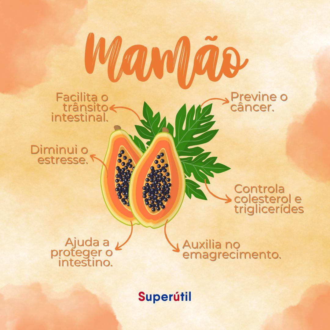 Tudo que você precisa saber sobre Mamão